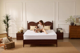 BEDLORE Waterproof Queen Mattress Protector – White